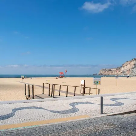 Light Wave Center 50m